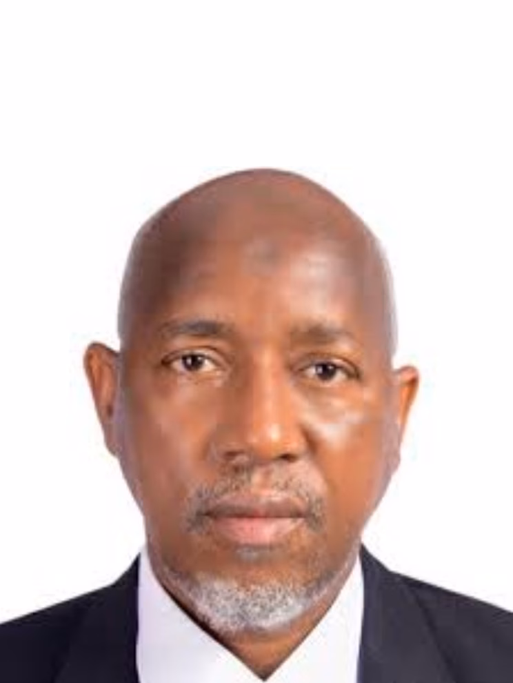 Garba Kurfi - Non-Executive Commissioner